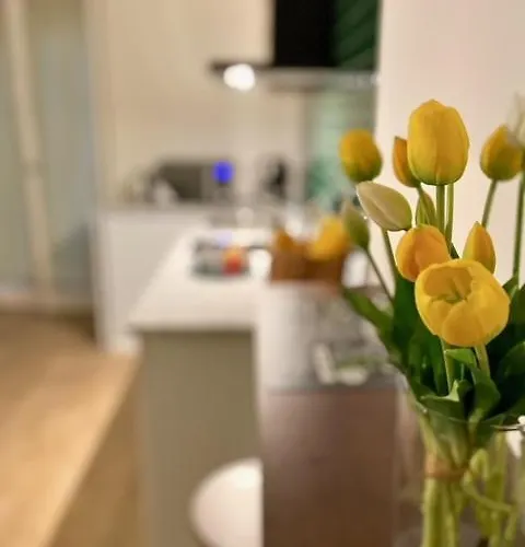 Maison Bisou 펜션 소렌토